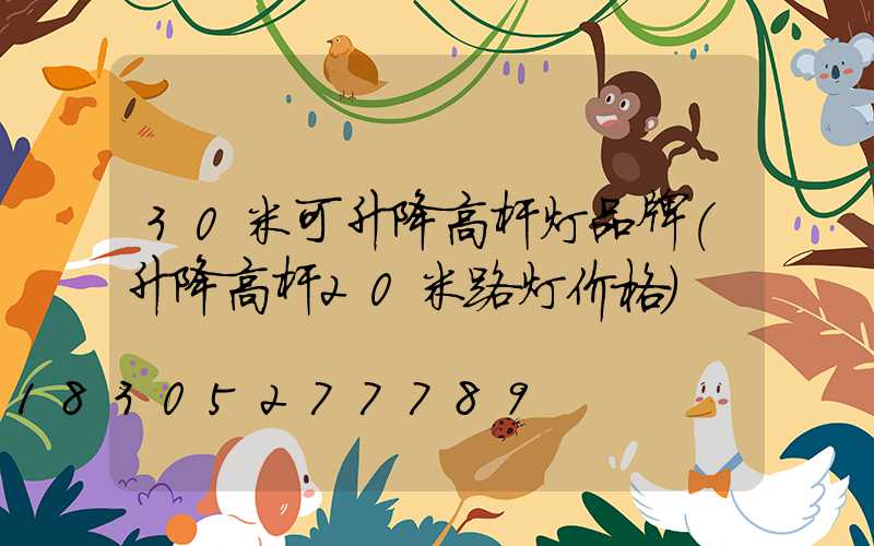 30米可升降高杆灯品牌(升降高杆20米路灯价格)