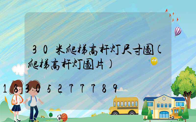 30米爬梯高杆灯尺寸图(爬梯高杆灯图片)