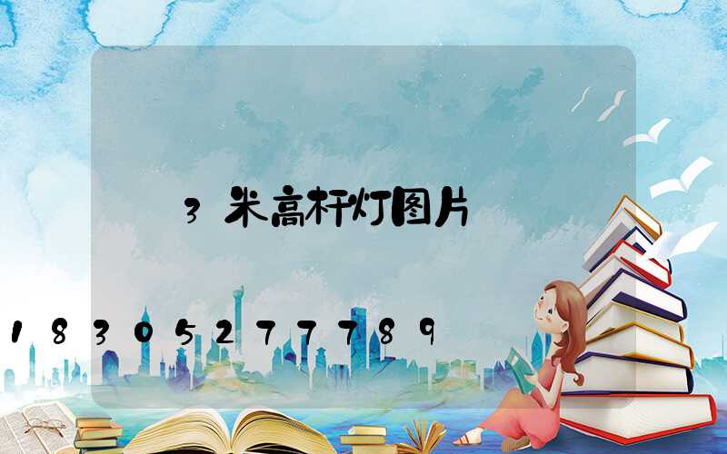 3米高杆灯图片