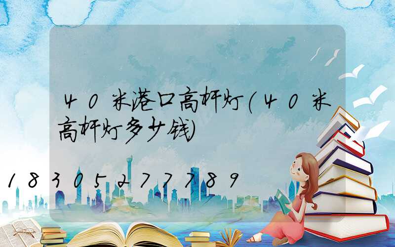 40米港口高杆灯(40米高杆灯多少钱)