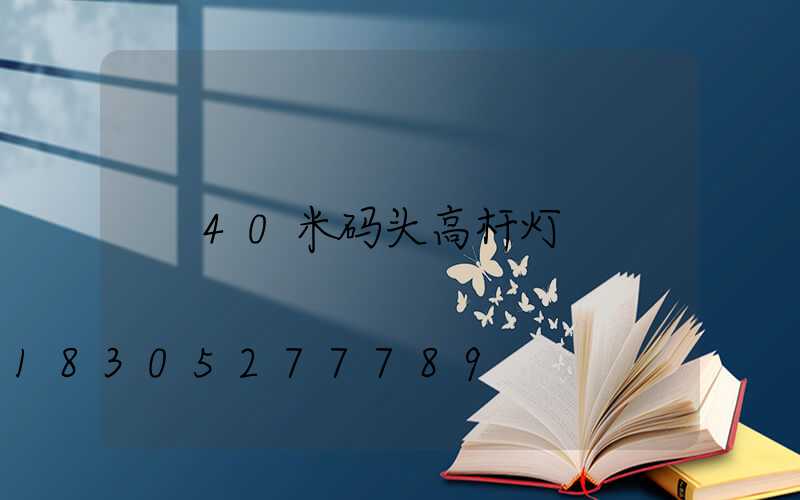 40米码头高杆灯