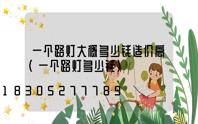 一个路灯大概多少钱造价高(一个路灯多少钱)