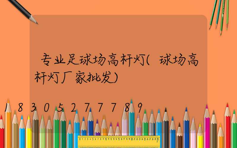 专业足球场高杆灯(球场高杆灯厂家批发)