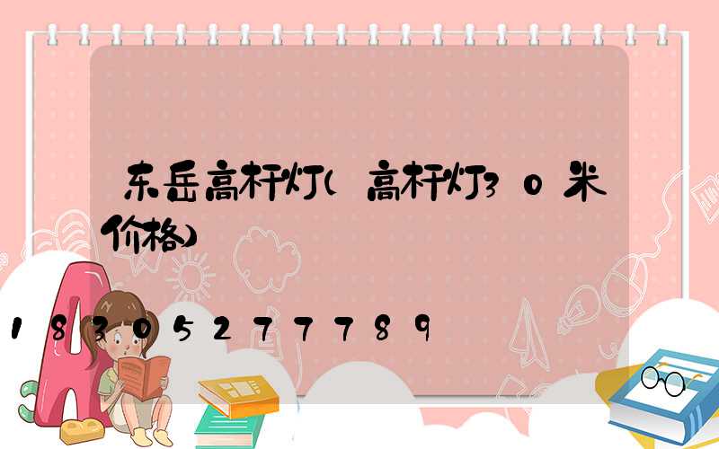 东岳高杆灯(高杆灯30米价格)