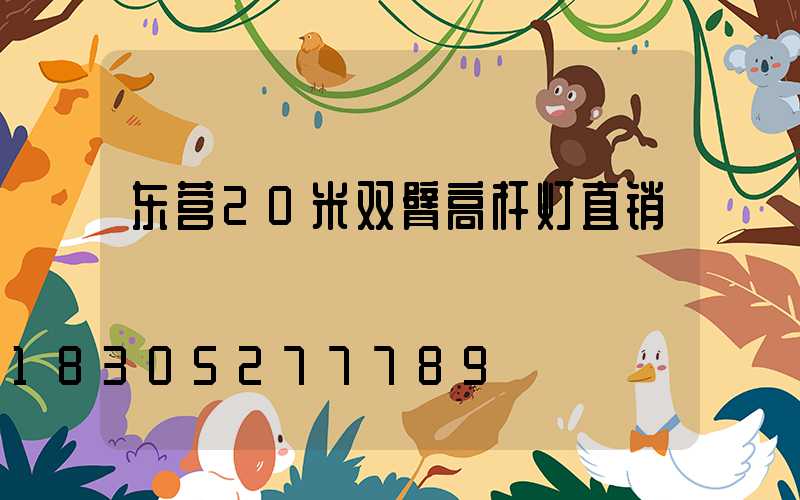 东营20米双臂高杆灯直销