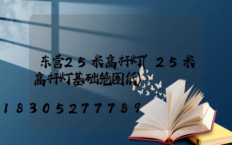 东营25米高杆灯(25米高杆灯基础笼图纸)