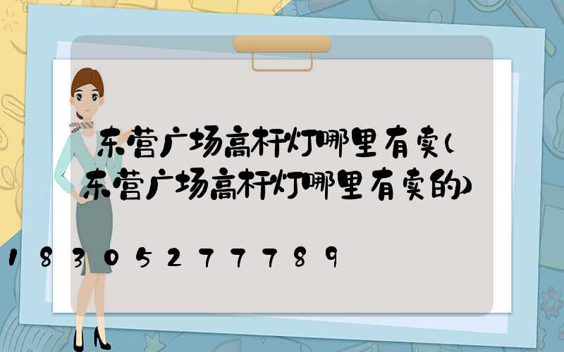 东营广场高杆灯哪里有卖(东营广场高杆灯哪里有卖的)