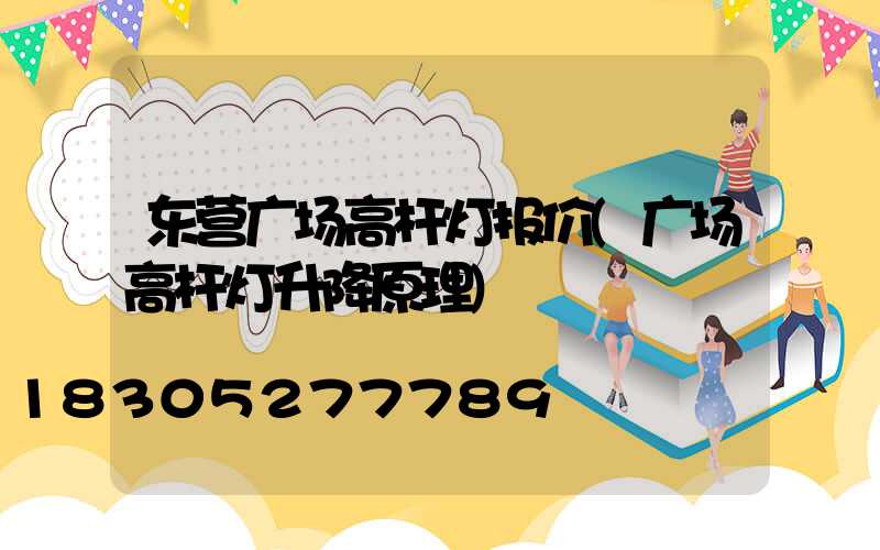 东营广场高杆灯报价(广场高杆灯升降原理)