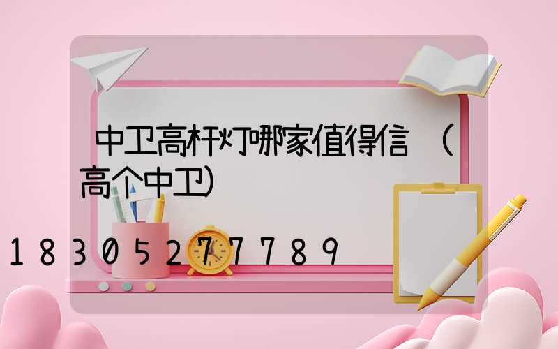 中卫高杆灯哪家值得信赖(高个中卫)