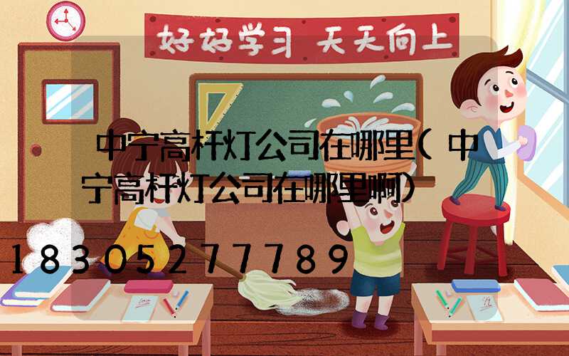 中宁高杆灯公司在哪里(中宁高杆灯公司在哪里啊)