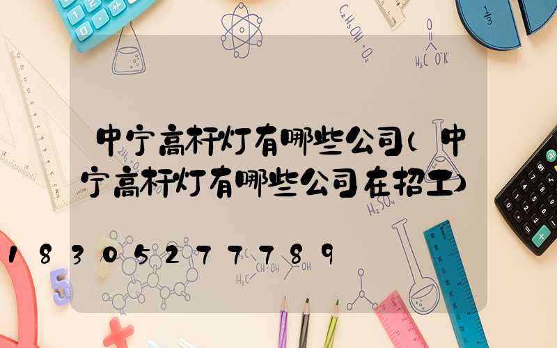 中宁高杆灯有哪些公司(中宁高杆灯有哪些公司在招工)