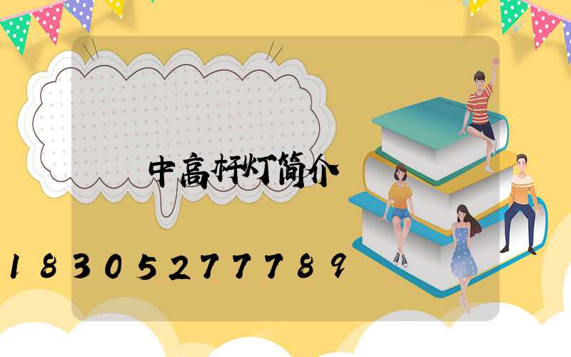 中高杆灯简介