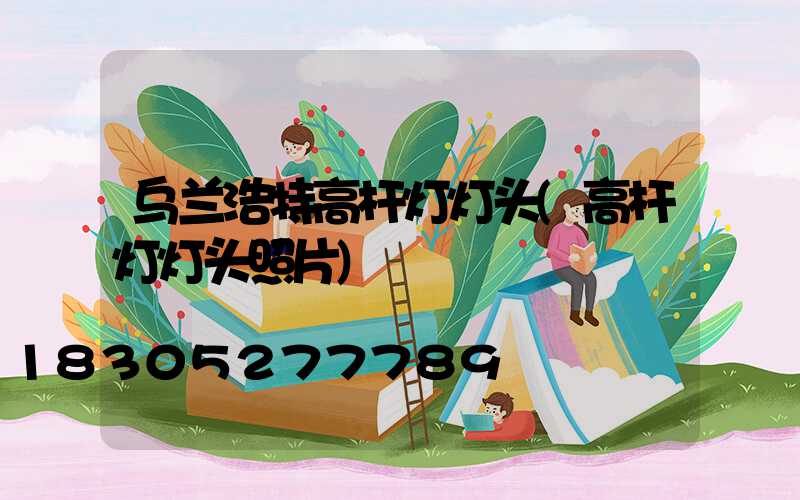 乌兰浩特高杆灯灯头(高杆灯灯头照片)