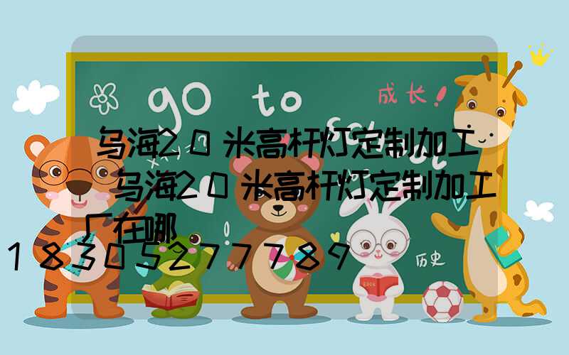 乌海20米高杆灯定制加工(乌海20米高杆灯定制加工厂在哪)