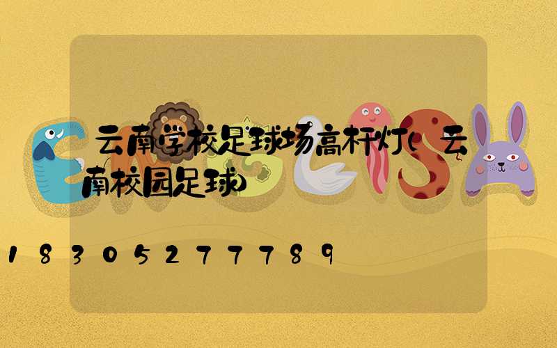 云南学校足球场高杆灯(云南校园足球)