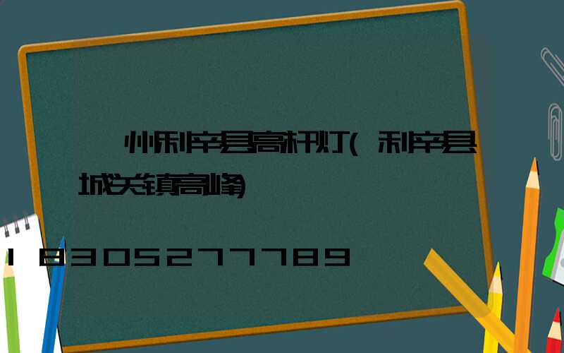 亳州利辛县高杆灯(利辛县城关镇高峰)