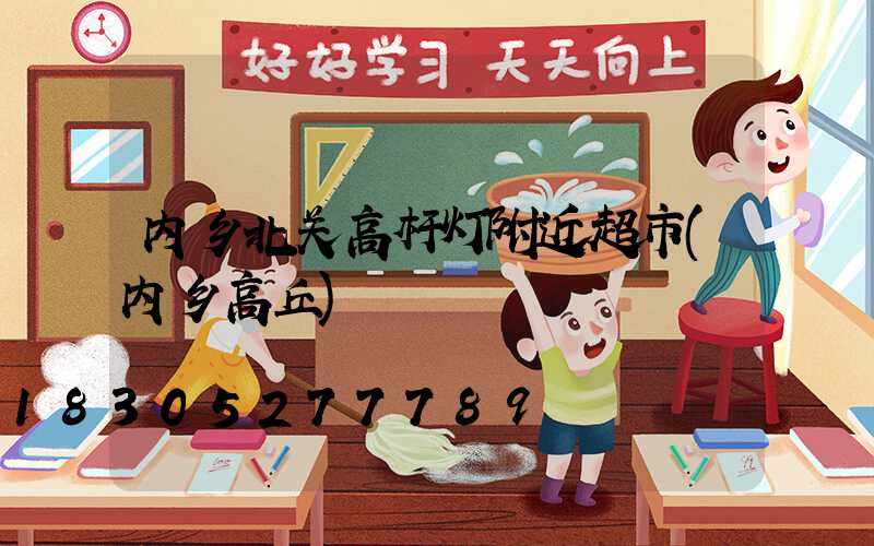 内乡北关高杆灯附近超市(内乡高丘)