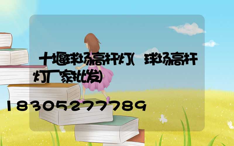 十堰球场高杆灯(球场高杆灯厂家批发)