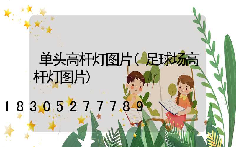 单头高杆灯图片(足球场高杆灯图片)