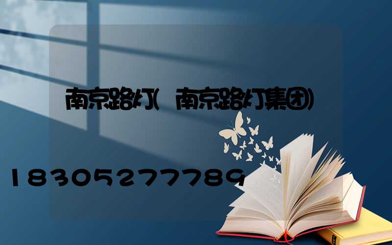 南京路灯(南京路灯集团)