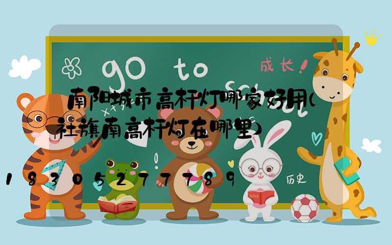南阳城市高杆灯哪家好用(社旗南高杆灯在哪里)