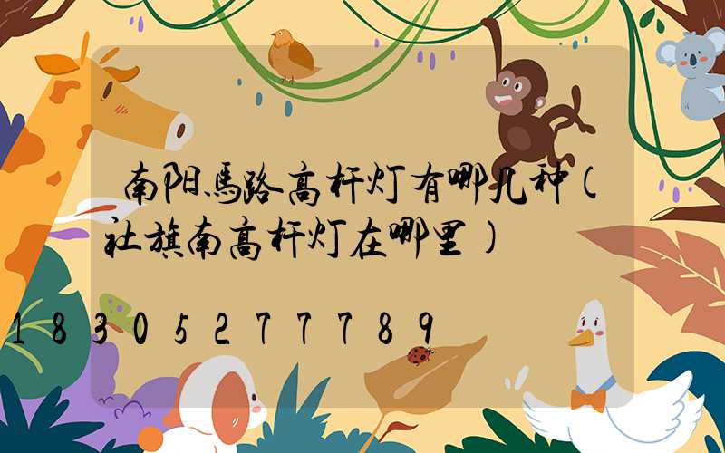 南阳马路高杆灯有哪几种(社旗南高杆灯在哪里)