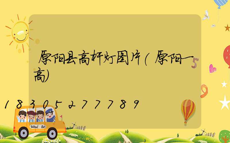 原阳县高杆灯图片(原阳一高)