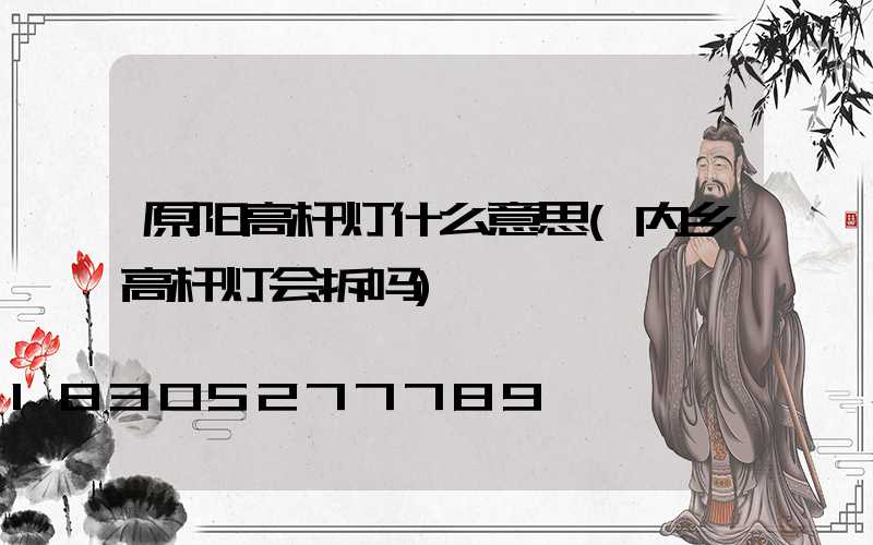 原阳高杆灯什么意思(内乡高杆灯会拆吗)