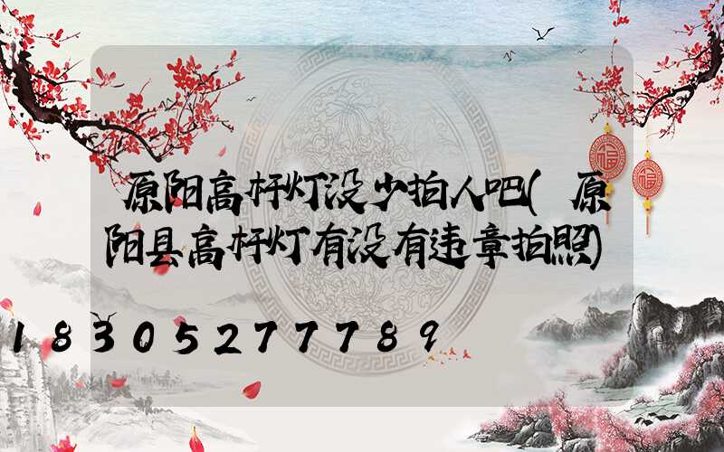 原阳高杆灯没少拍人吧(原阳县高杆灯有没有违章拍照)