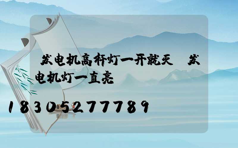 发电机高杆灯一开就灭(发电机灯一直亮)