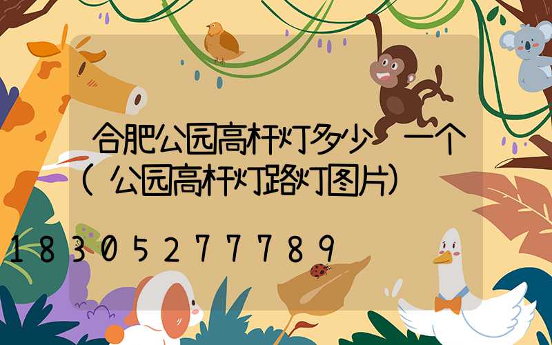 合肥公园高杆灯多少钱一个(公园高杆灯路灯图片)