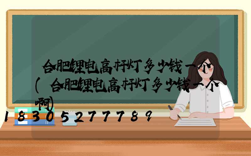 合肥锂电高杆灯多少钱一个(合肥锂电高杆灯多少钱一个啊)