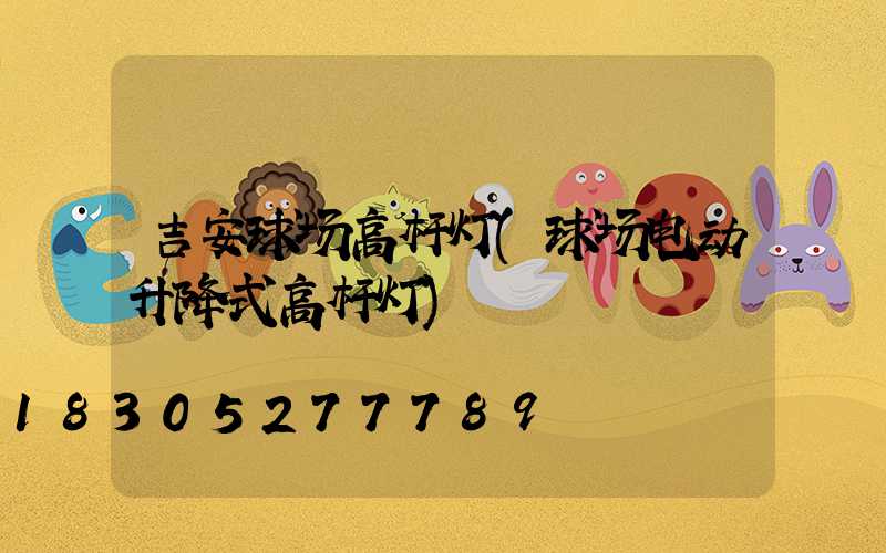 吉安球场高杆灯(球场电动升降式高杆灯)