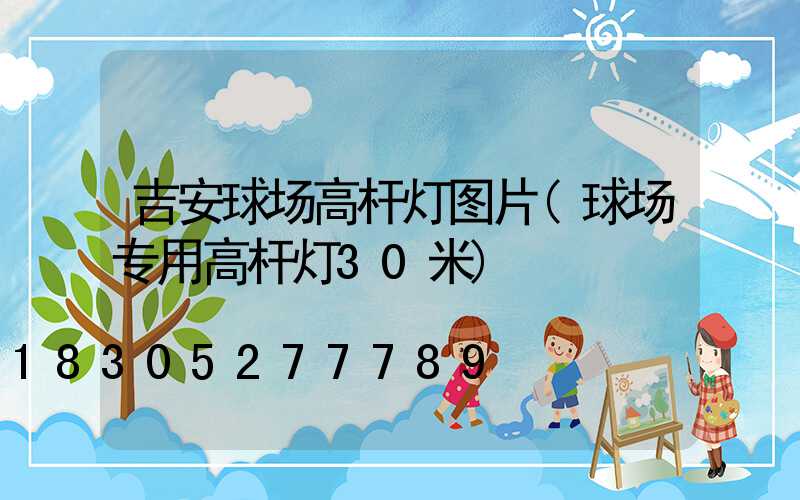 吉安球场高杆灯图片(球场专用高杆灯30米)