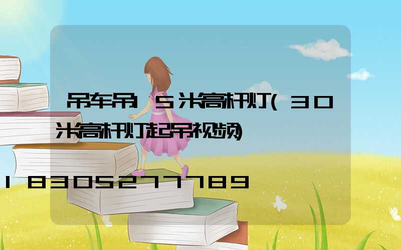 吊车吊15米高杆灯(30米高杆灯起吊视频)