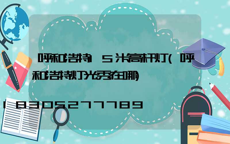 呼和浩特15米高杆灯(呼和浩特灯光秀在哪)