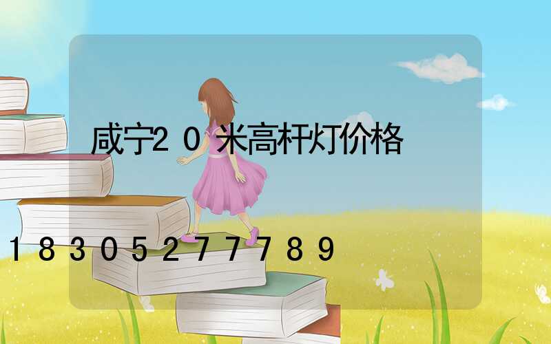 咸宁20米高杆灯价格