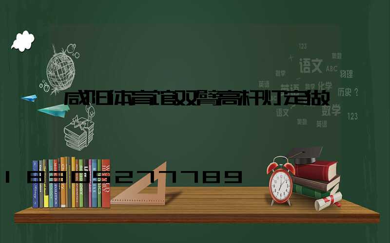 咸阳体育馆双臂高杆灯定做