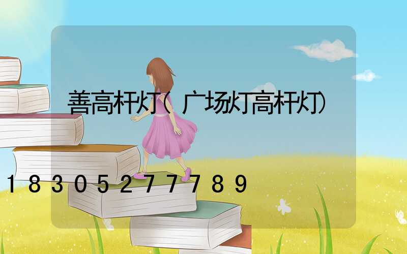善高杆灯(广场灯高杆灯)