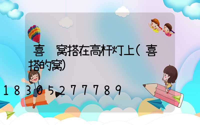 喜鹊窝搭在高杆灯上(喜鹊搭的窝)