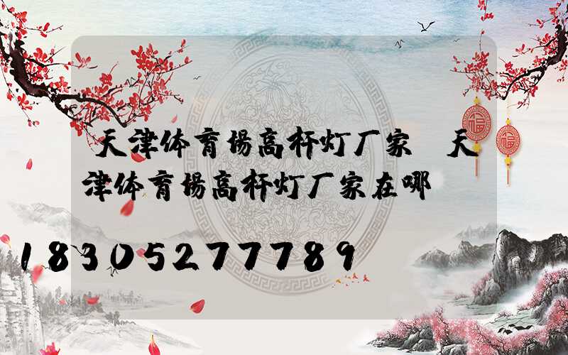 天津体育场高杆灯厂家(天津体育场高杆灯厂家在哪)
