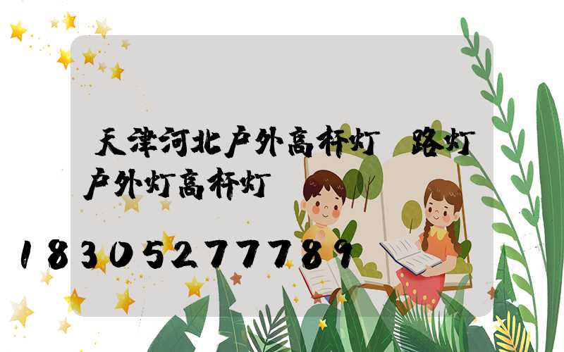 天津河北户外高杆灯(路灯户外灯高杆灯)