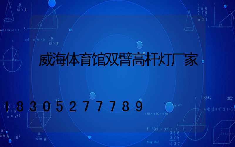 威海体育馆双臂高杆灯厂家