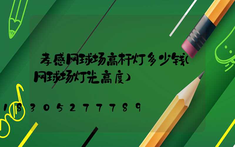 孝感网球场高杆灯多少钱(网球场灯光高度)