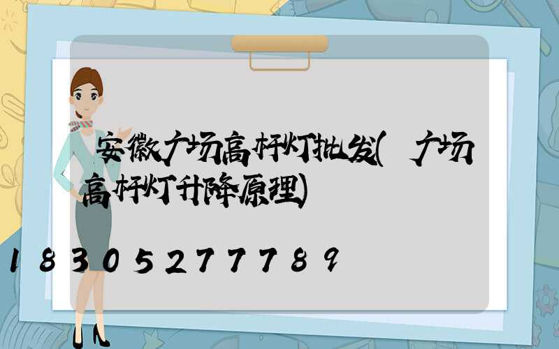 安徽广场高杆灯批发(广场高杆灯升降原理)