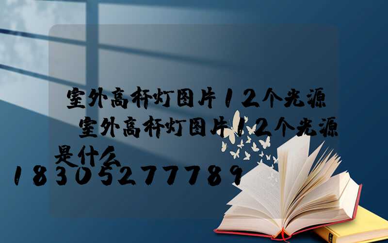 室外高杆灯图片12个光源(室外高杆灯图片12个光源是什么)