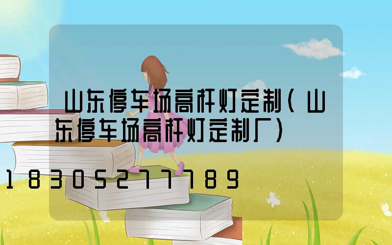 山东停车场高杆灯定制(山东停车场高杆灯定制厂)