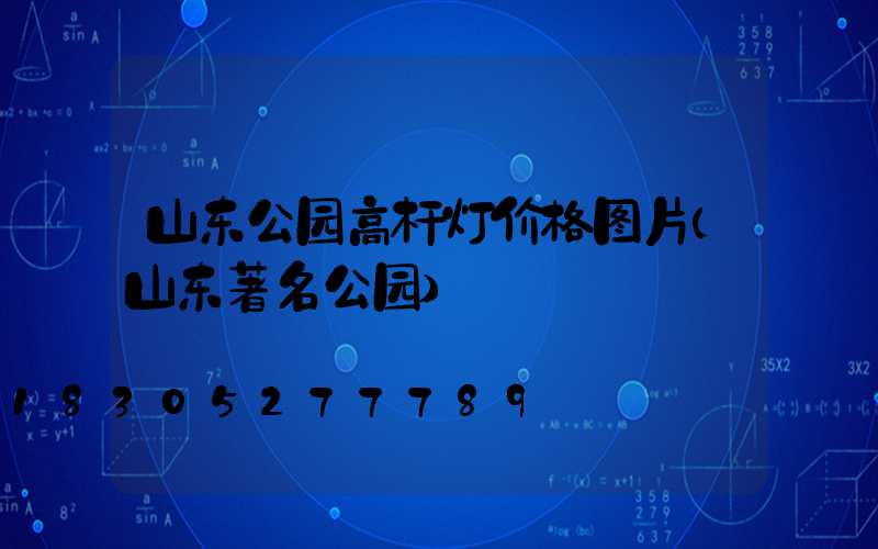 山东公园高杆灯价格图片(山东著名公园)