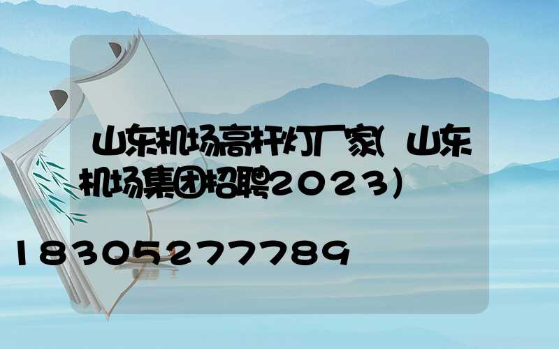 山东机场高杆灯厂家(山东机场集团招聘2023)