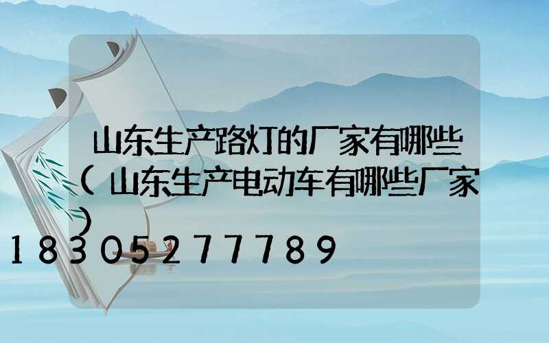 山东生产路灯的厂家有哪些(山东生产电动车有哪些厂家)